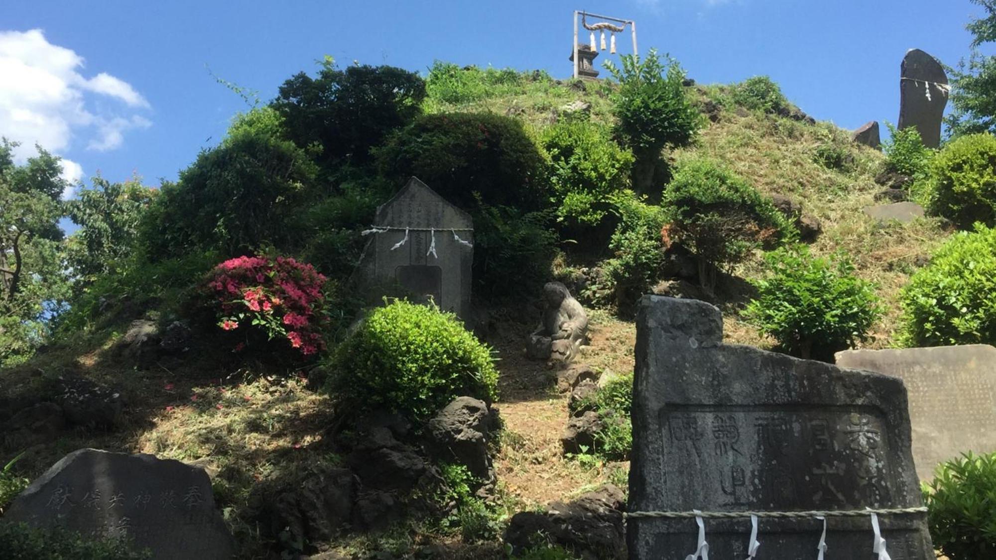 Toyoko Inn Shiki Eki Higashi Guchi Exterior foto